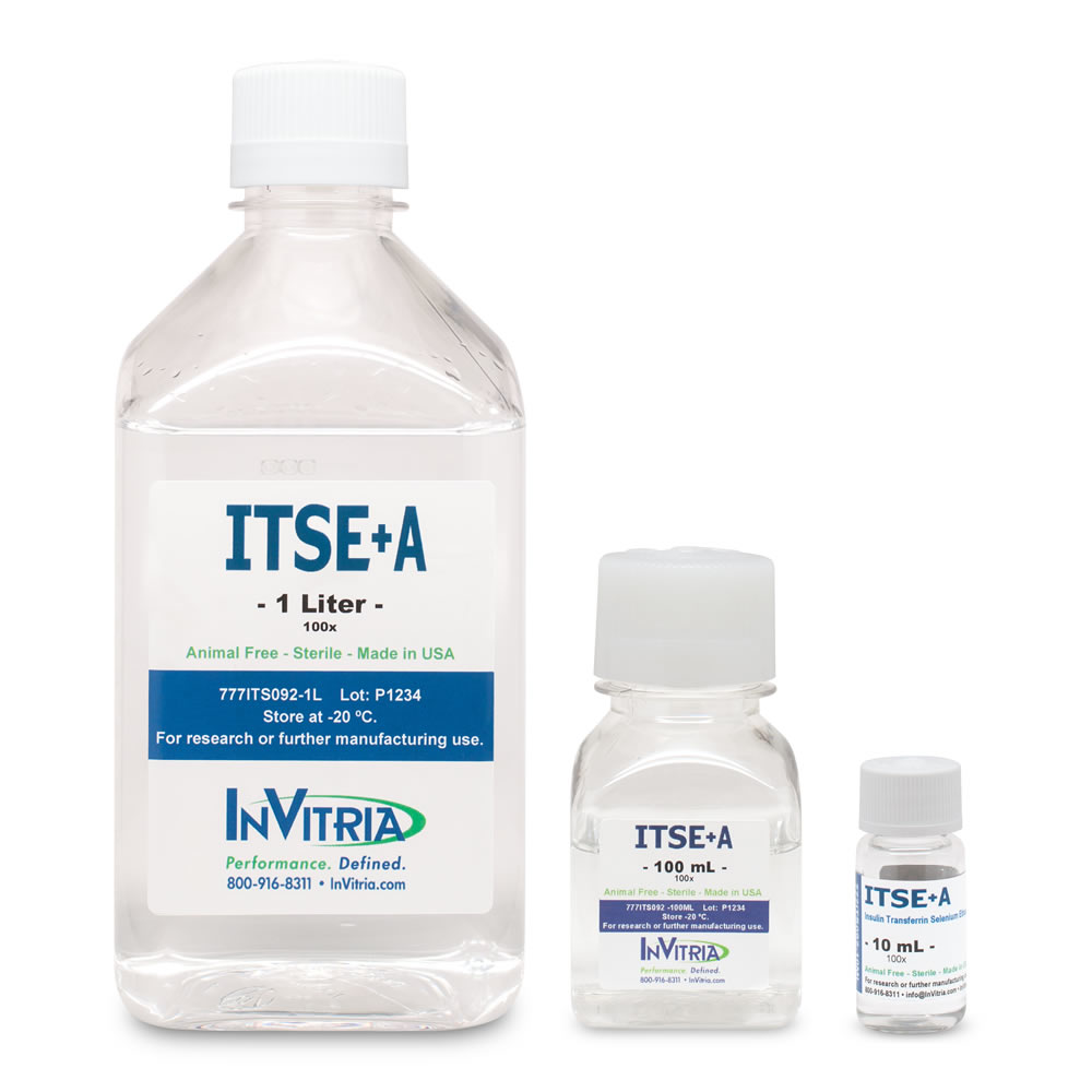 ITSEA-Family